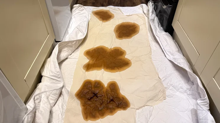 A series of coffee stains covers a piece of bedsheet, on top of the Scooms 100% Pure Cotton mattress protector, in a kitchen