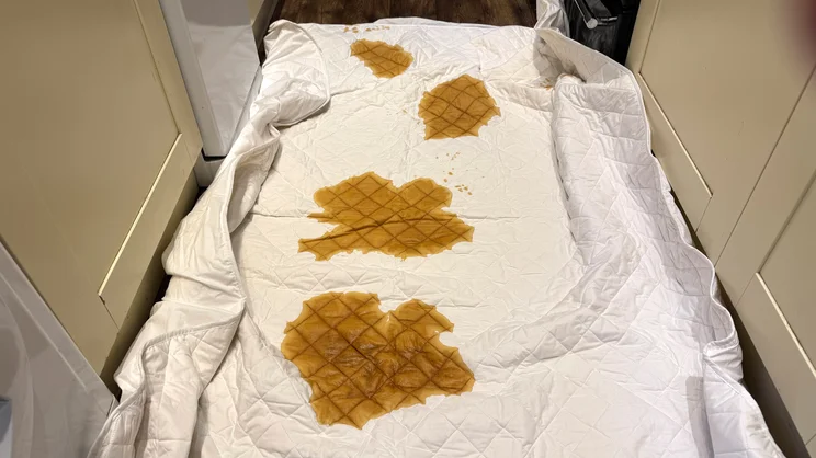 A series of coffee stains covers the Scooms 100% Pure Cotton mattress protector, on a kitchen floor