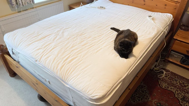 A cat sitting on top of the Snuggledown Intelligent Warmth electric blanket, on a mattress