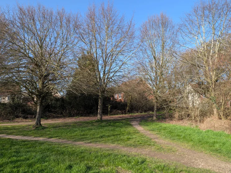 Path in front of a group of trees