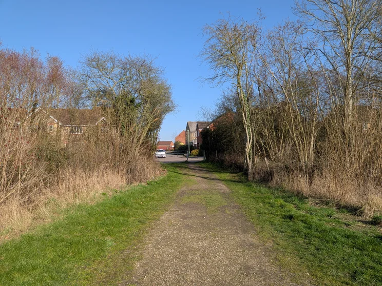 Path between two groups of trees