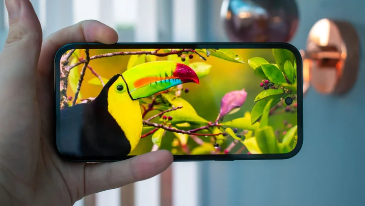 Google Pixel 10a with a wildlife video on the display