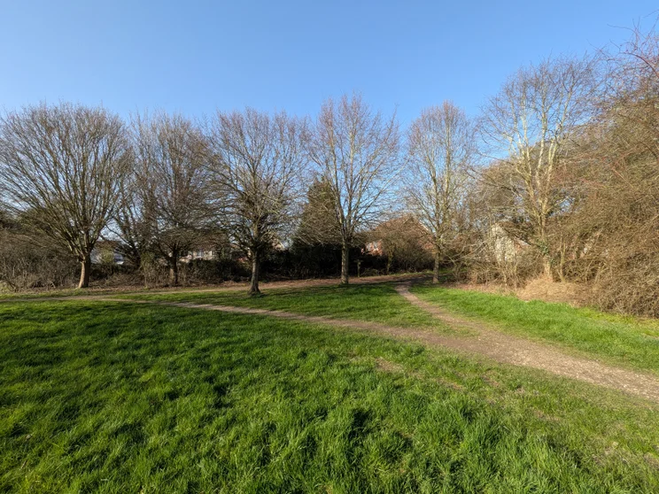 Wide-angle shot of a meadow