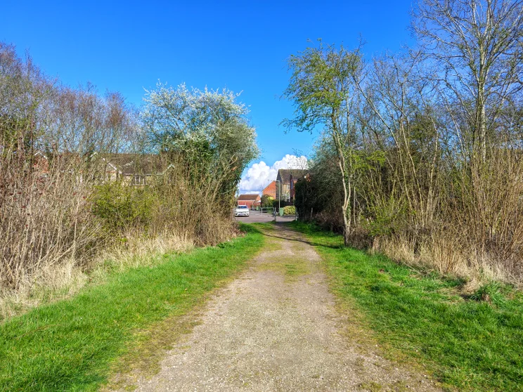 A path leading between two groups of trees