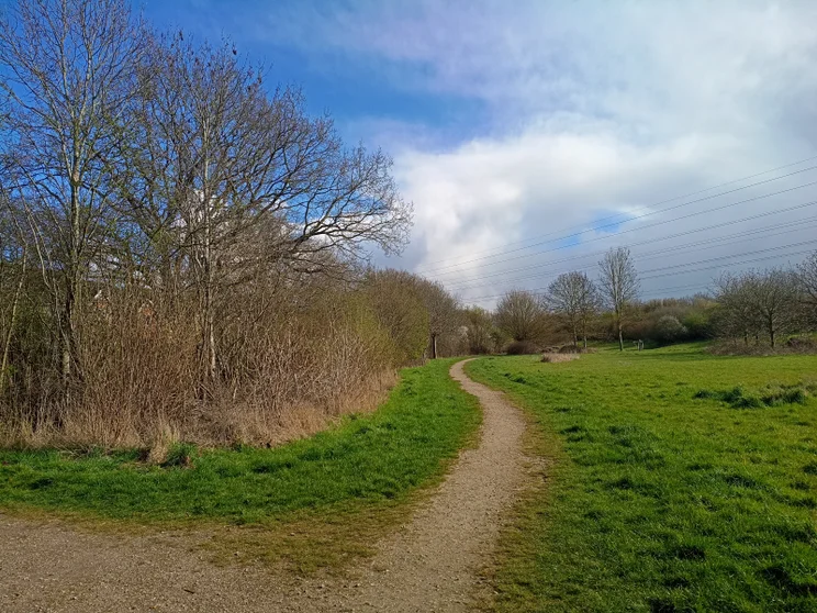 A path leading alongside a meadow