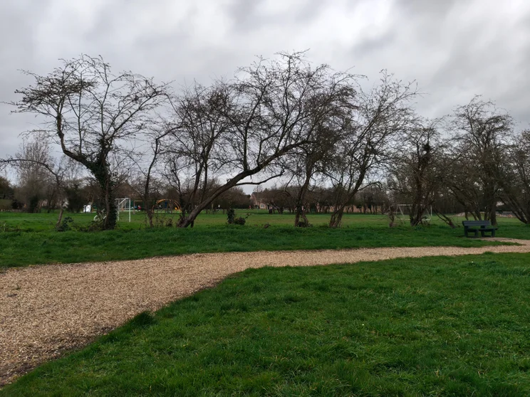 A park on a grey day
