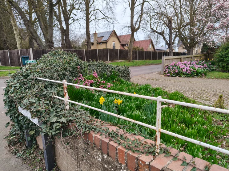 A colourful garden surrounded by a brick wall