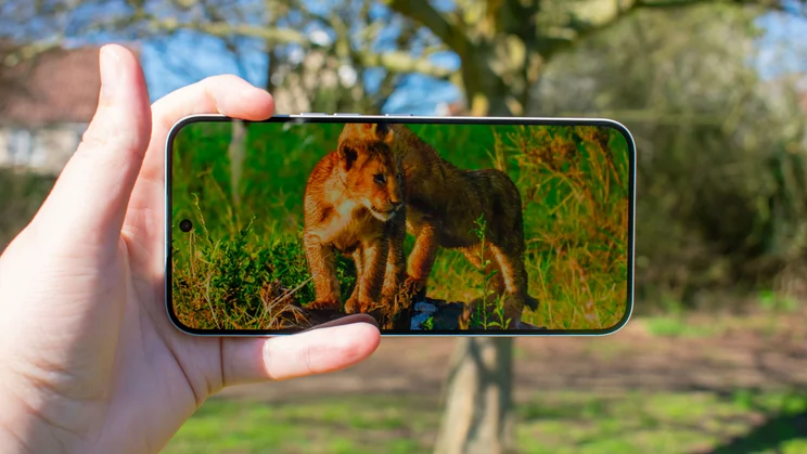 Nothing Phone (4a) Pro displaying a nature video