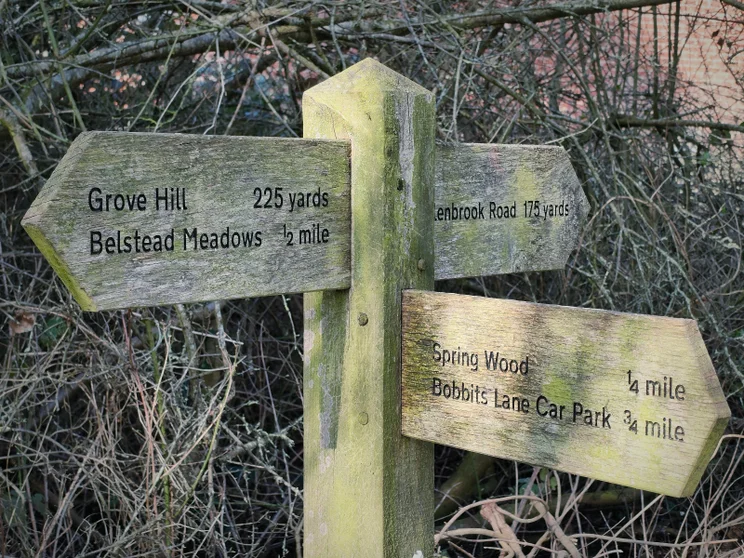 Telephoto shot of a wooden signpost
