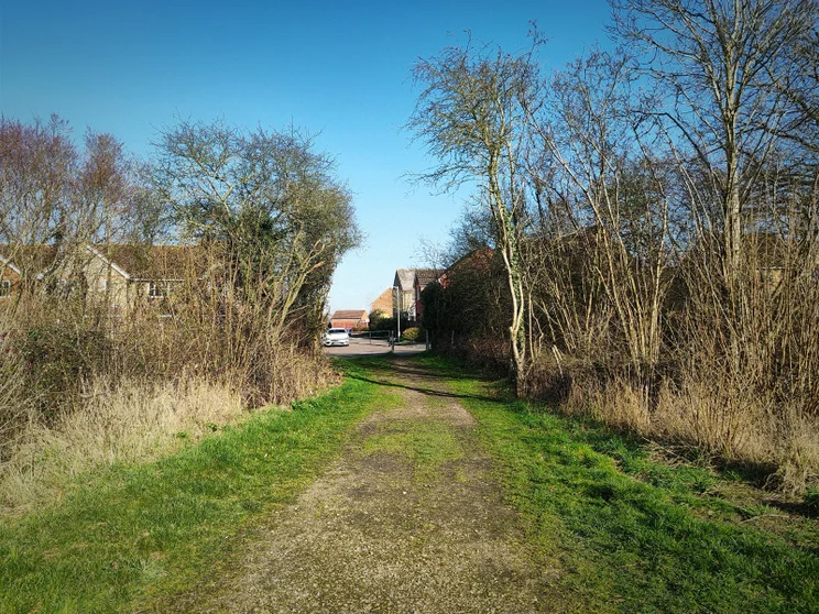 A path leading between two groups of trees