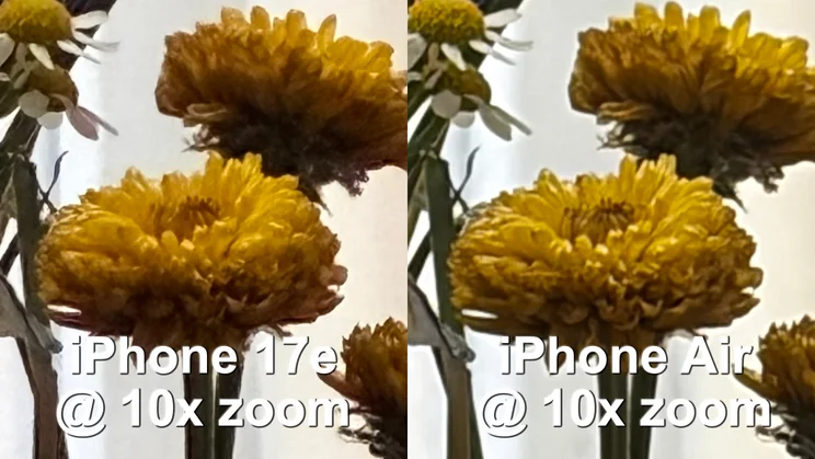 iPhone 17e vs iPhone Air low light camera test at 10x zoom, flowers