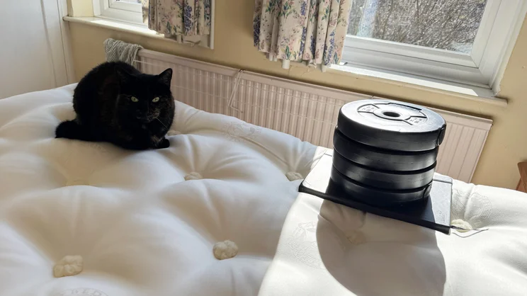A series of weights placed on the edge of the Hypnos Inspired By Nature 05 mattress, in order to measure sinkage. A cat is sitting at the end of the mattress