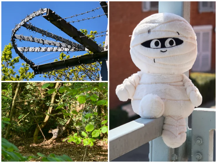 Compilation image of 10x zoom shots of a plushie, a squirrel and a barbed wire railing