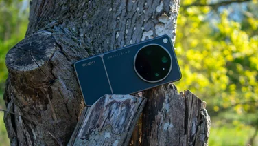 Oppo Find X9 Ultra on a tree stump, rear view, landscape mode