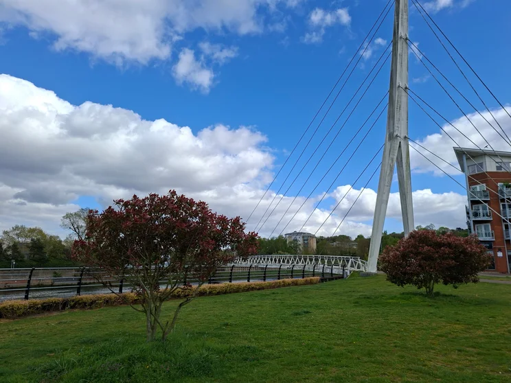 A green with a tall bridge in the background