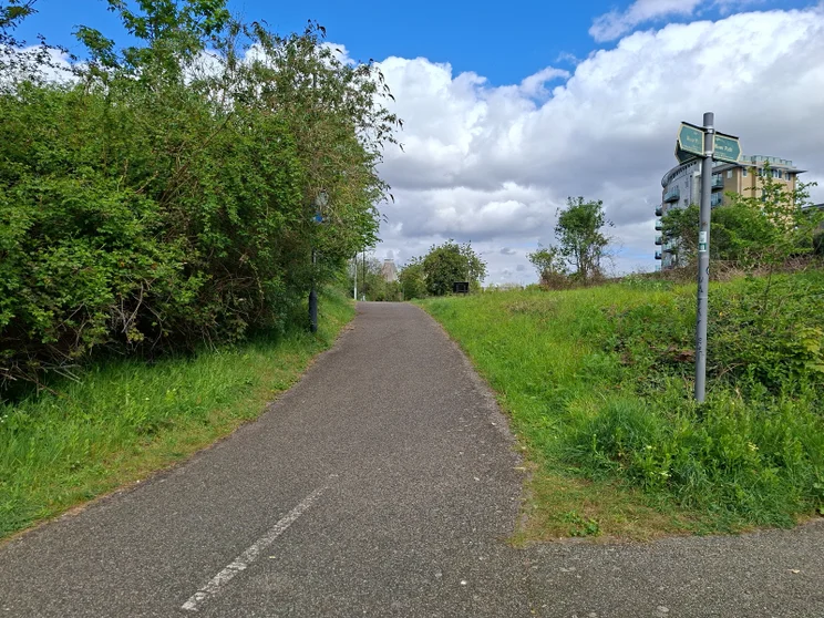 A cycling path surrounded by greenery