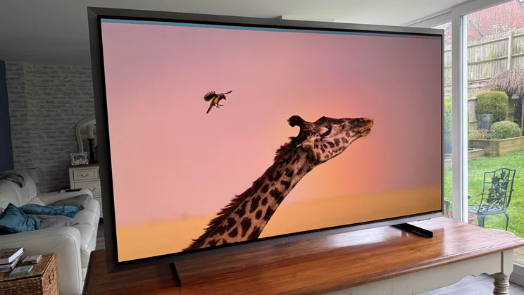 Left view of the Samsung S99H quantum dot OLED TV displaying an image of a giraffe and a bird