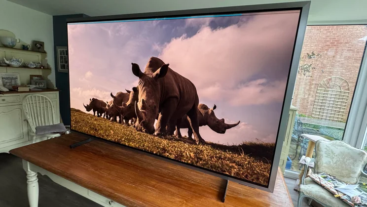 Right view of the Samsung S99H quantum dot OLED TV displaying a crash of rhinos