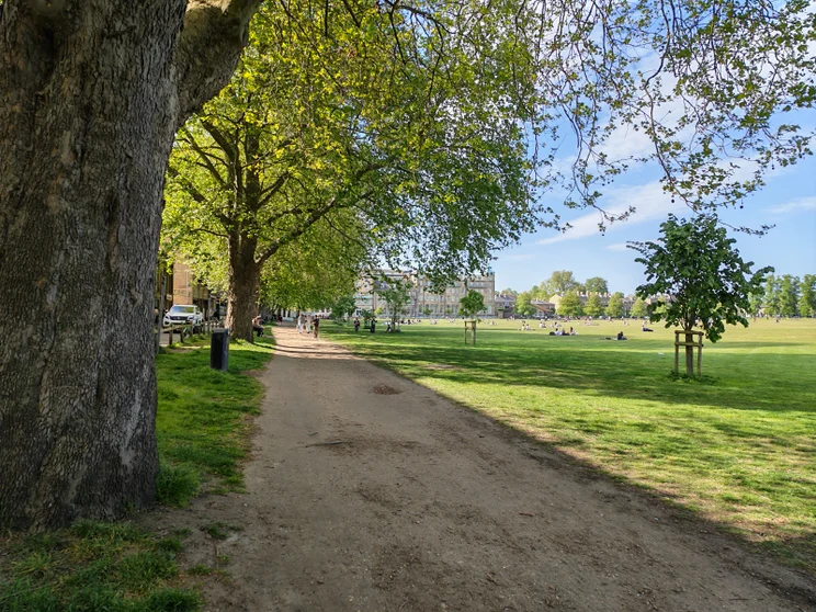 A path leading alongside a park