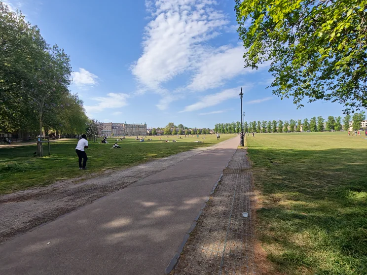 Wide-angle shot of a road leading through a park