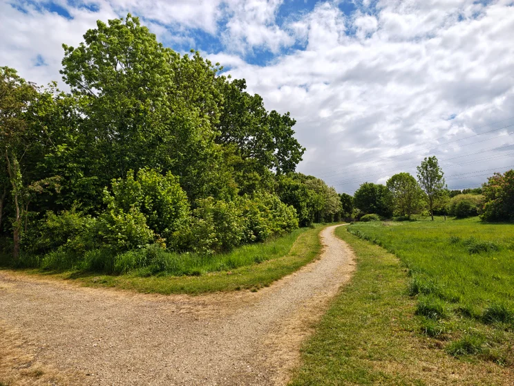 A path leading alongside a meadow