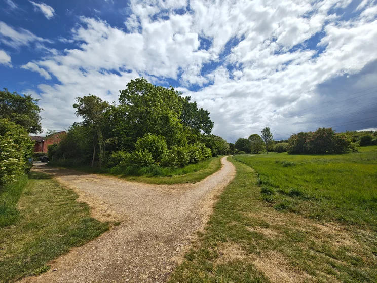 Wide-angle shot of a meadow