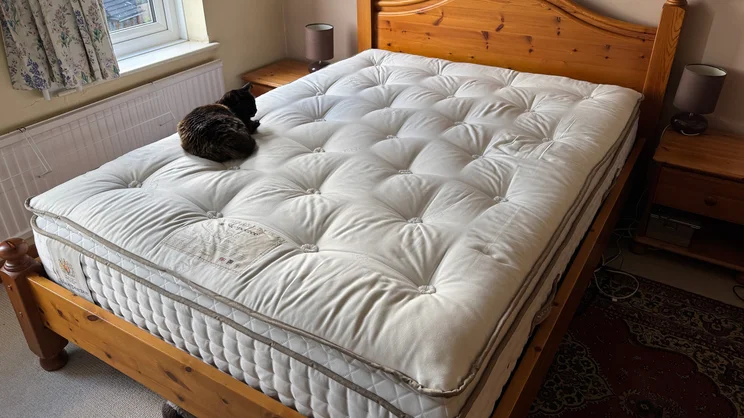 The Sleepeezee Regency Kennington 4200 mattress on a wooden bed frame in a bedroom. A cat sits on top of the mattress