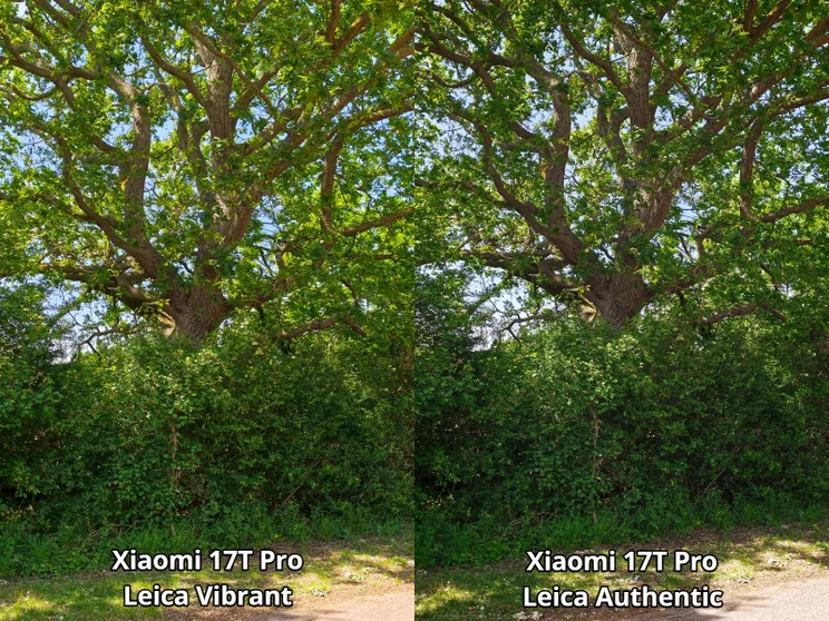 Comparison of two pictures of the same tree on different colour profiles