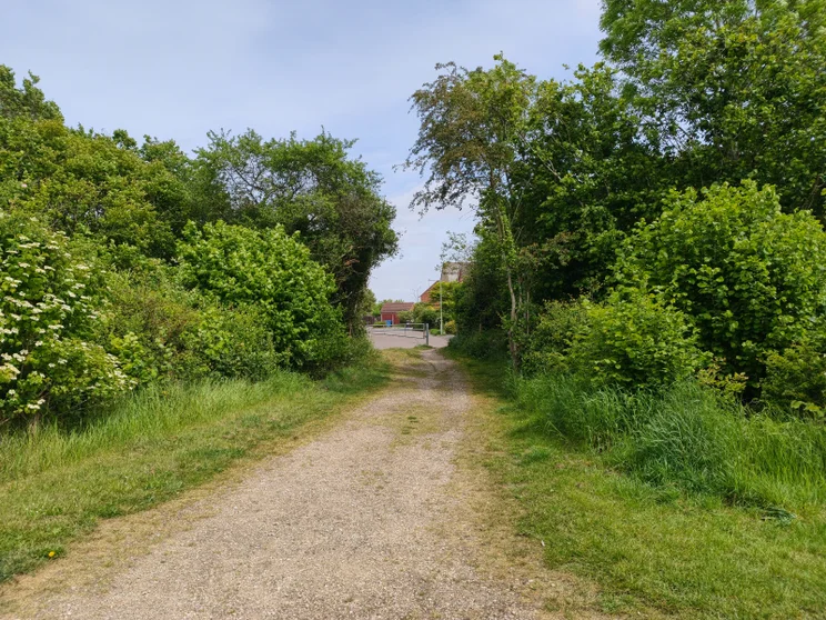 A path leading between two trees