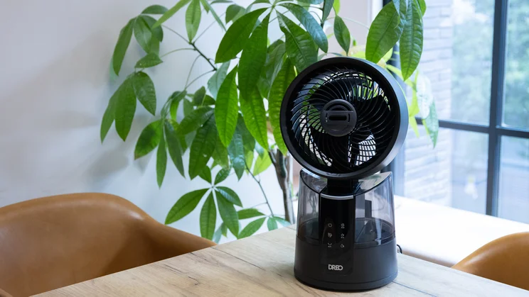 The Dreo TurboCool Misting Fan 516S on a table in an office, in front of a large potted plant