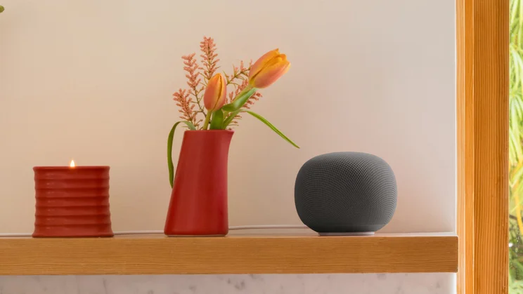The Google Home Speaker in the hazel colourway, pictured on a shelf, next to a vase of tulips