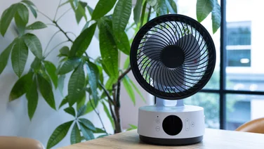 The Meaco Sefte 6in Air Circulator on a table in an office