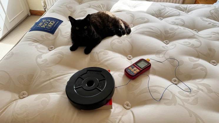 A series of weights and a digital thermometer being used to measure surface temperature of the Odd Company Blenheim 1500 mattress. A cat sits near