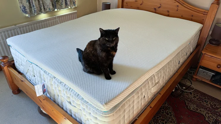 The Simba Cool Foam mattress topper on a mattress in a bedroom. A cat sits on top