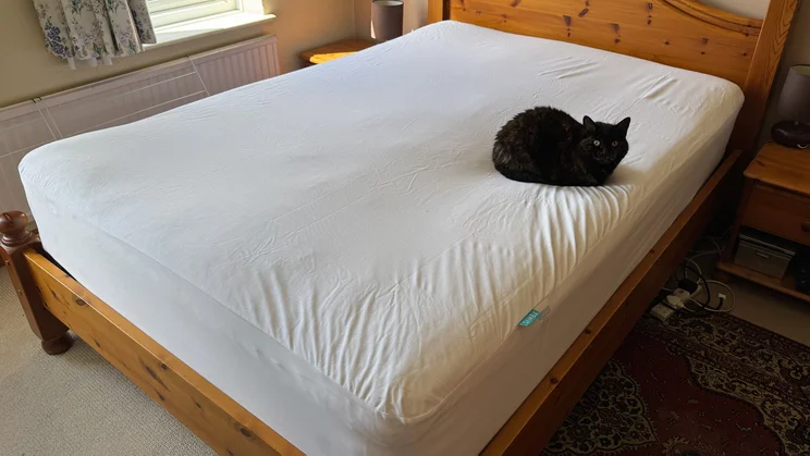 The Simba TripleShield Tencel Cool mattress protector on a mattress in a bedroom. A cat is sitting on top
