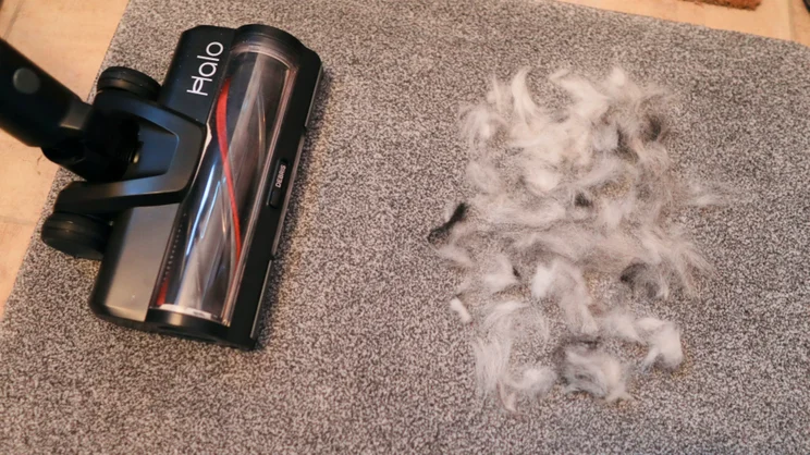 Testing the Halo Capsule XR with pet hair