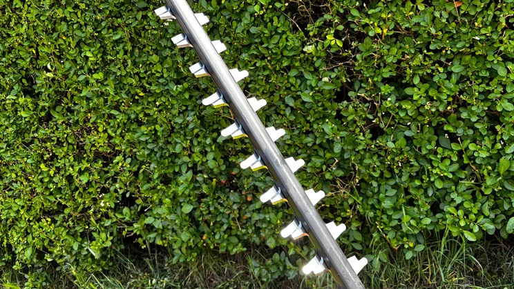 Bosch AdvancedHedgeCut 36V - close-up of blade