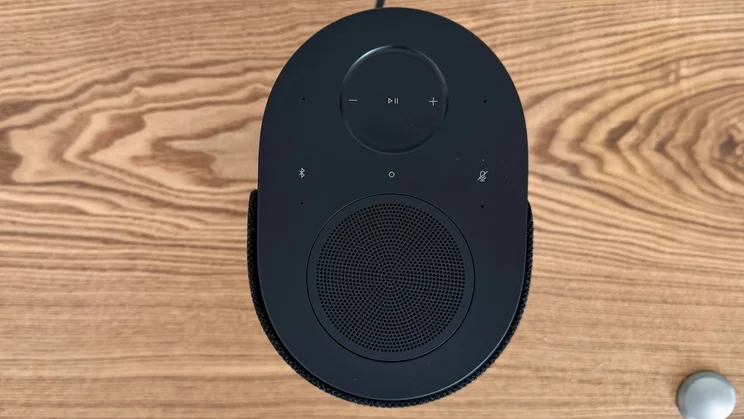 Top-down view of the Bose Lifestyle Ultra Speaker on a wooden table