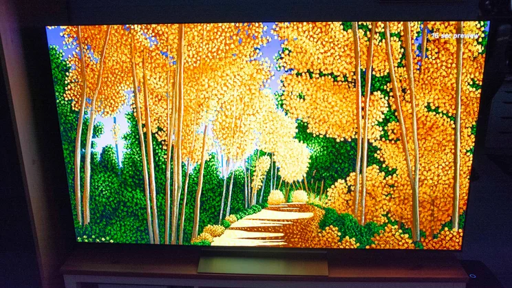 The 65in LG C6 OLED TV on a wooden stand displaying digital artwork of a woodland scene