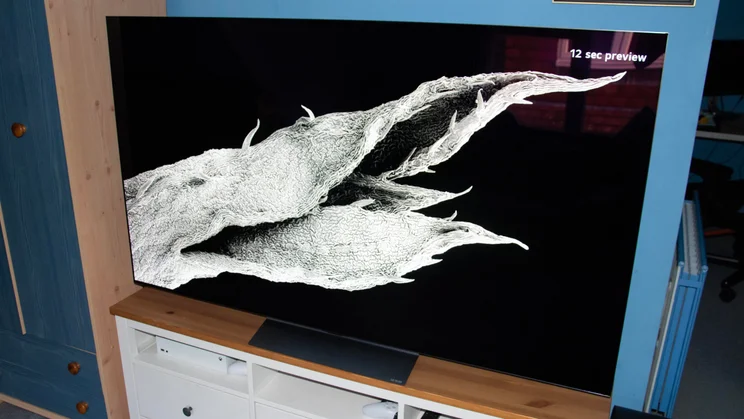 The 65in LG C6 OLED TV on a wooden stand displaying a black and white image, showing reflections from a window in the room