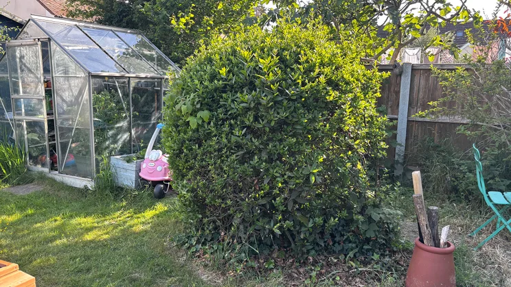 Hedge before Ryobi RY18HT40B test run