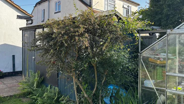 A bush before being trimmed by the VonHaus G-Series 40V hedge trimmer