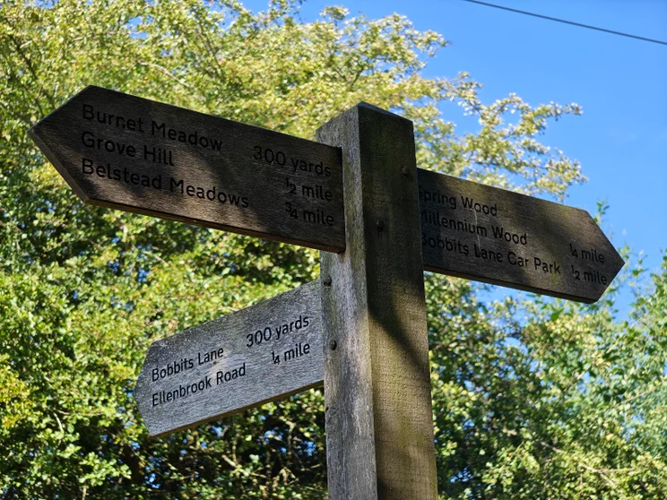 A wooden signpost with trees behind it