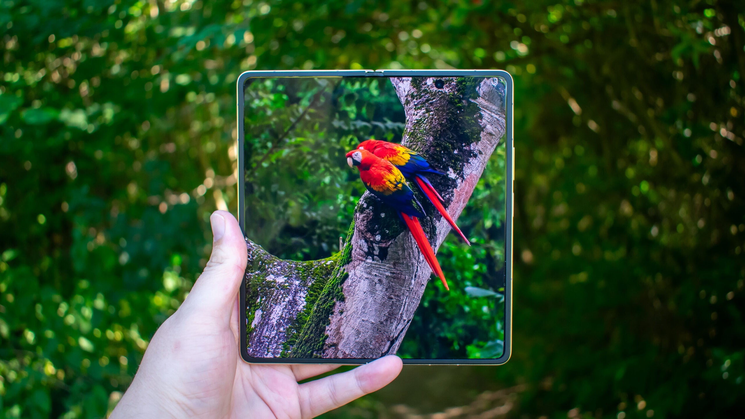 Honor Magic V6 review: The thinnest, most durable foldable yet | Expert Reviews