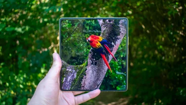 Honor Magic V6 unfolded in hand, nature video on the display