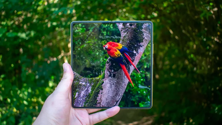 Honor Magic V6 unfolded in hand, nature video on the display