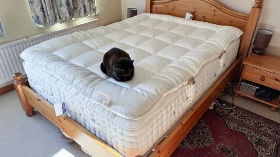 The Hypnos Inspired By Nature Wool and Latex Enhancer on a mattress in a bedroom. A cat sits on the end of the bed