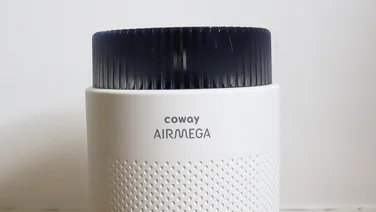 Coway Airmega 100 - close-up of top including brand logo