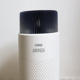 Coway Airmega 100 - close-up of top including brand logo
