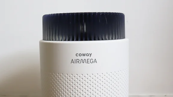Coway Airmega 100 - close-up of top including brand logo
